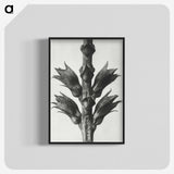 1-94_Karl-Blossfeldt_blk-crop