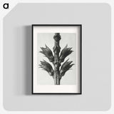 1-94_Karl-Blossfeldt_blk