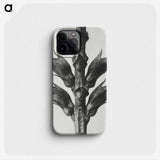 1-94_Karl-Blossfeldt_phone