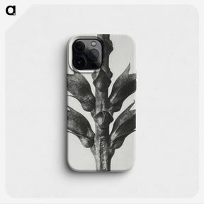 1-94_Karl-Blossfeldt_phone