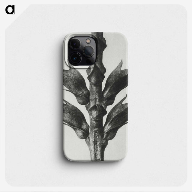 1-94_Karl-Blossfeldt_phone
