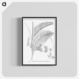 1-94_Les-Palmiers-Histoire-Iconographique_blk-crop