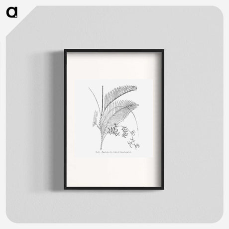 1-94_Les-Palmiers-Histoire-Iconographique_blk
