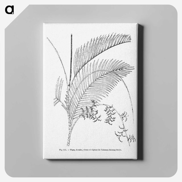 1-94_Les-Palmiers-Histoire-Iconographique_canvas