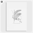 1-94_Les-Palmiers-Histoire-Iconographique_picture