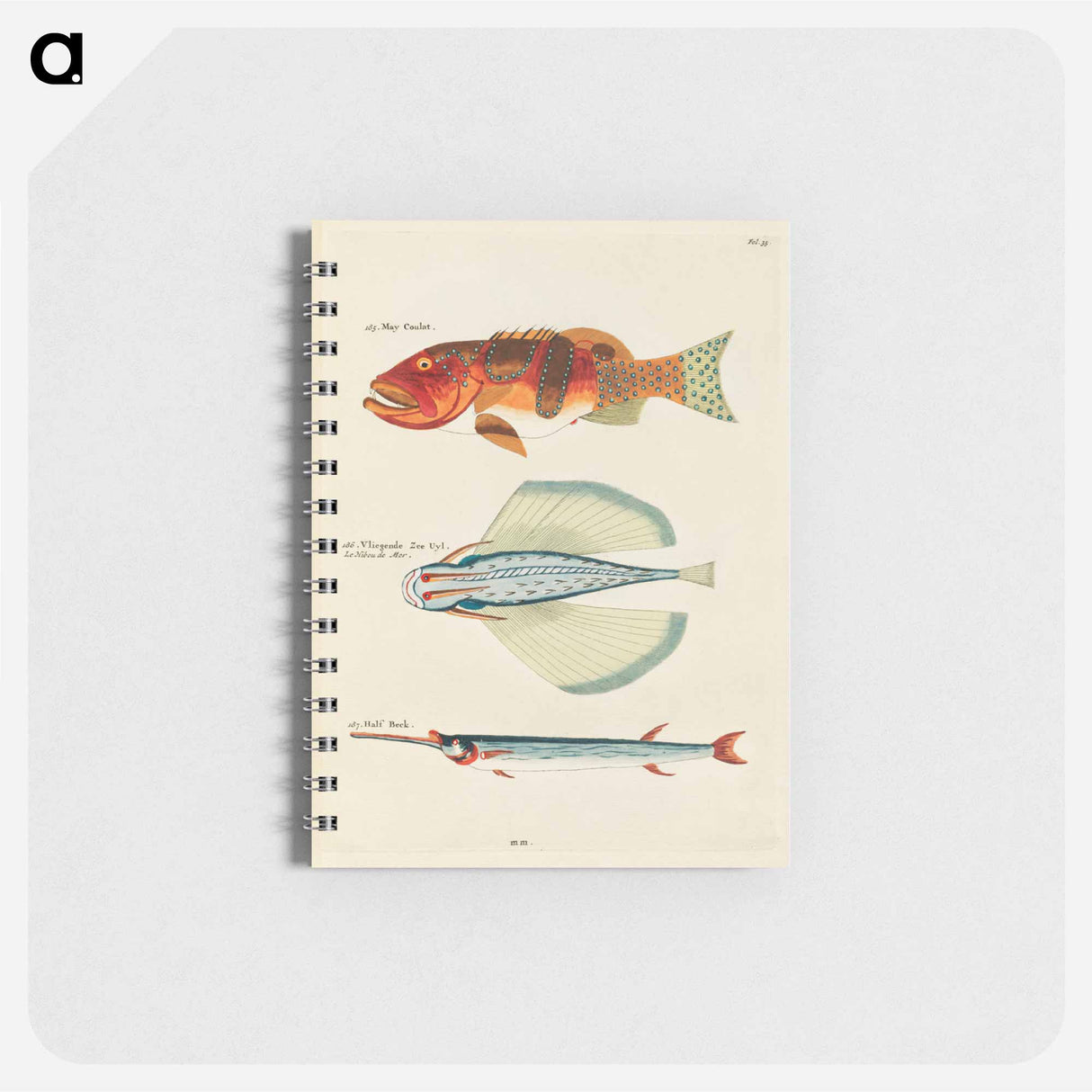Moluccan Fishes
 - ルイ ルナール Memo.