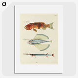 1-94_Louis-Renard_picture