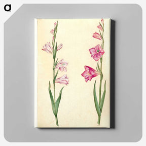 1-94_Maria-Sibylla-Merian_canvas