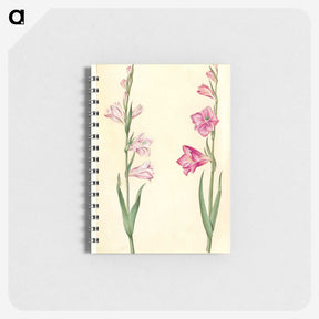 1-94_Maria-Sibylla-Merian_memo