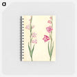 アートメモ帳-Gladiolus communis
 - マリア ジビーラ メーリアン Memo.