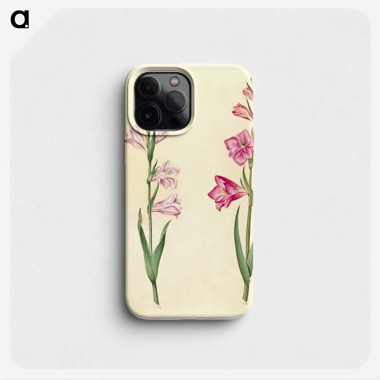 1-94_Maria-Sibylla-Merian_phone