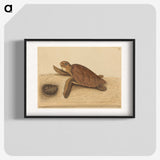 1-94_Mark-Catesby_blk