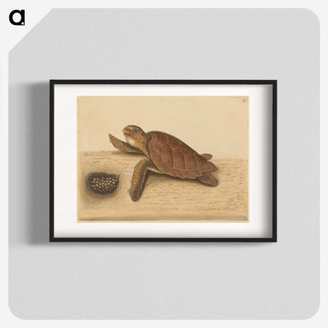 1-94_Mark-Catesby_blk