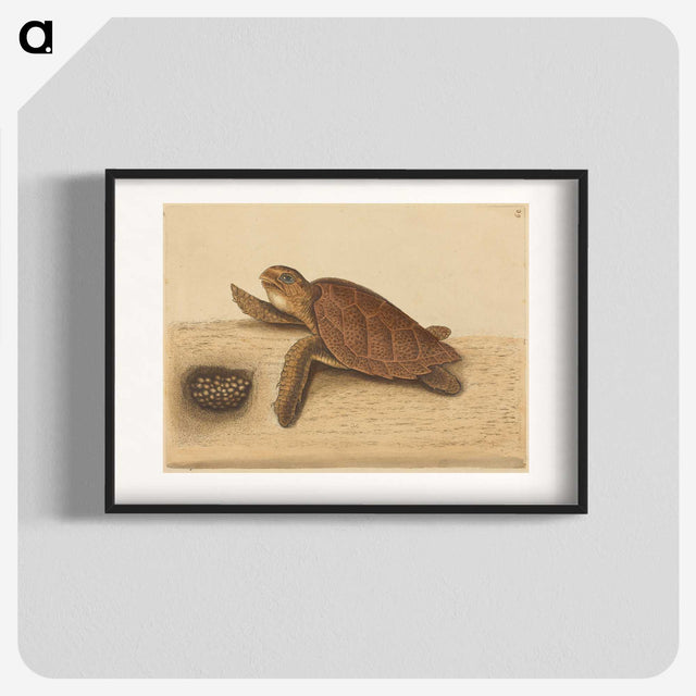 1-94_Mark-Catesby_blk