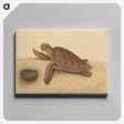 1-94_Mark-Catesby_canvas