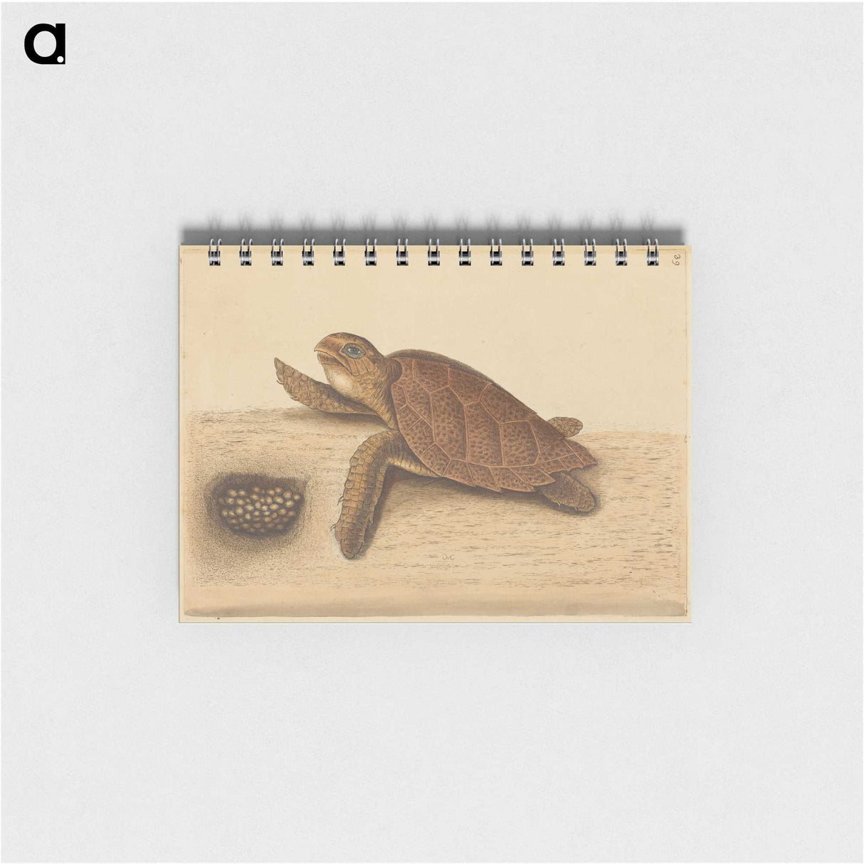 1-94_Mark-Catesby_memo