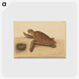 1-94_Mark-Catesby_postcard