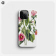 1-94_Mary-Vaux-Walcott_phone