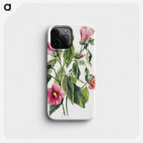 1-94_Mary-Vaux-Walcott_phone