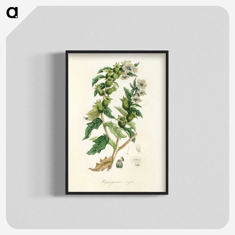 1-94_Medical-Botany_blk-crop