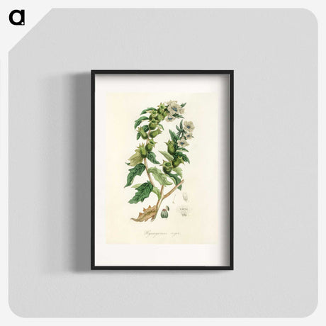 1-94_Medical-Botany_blk