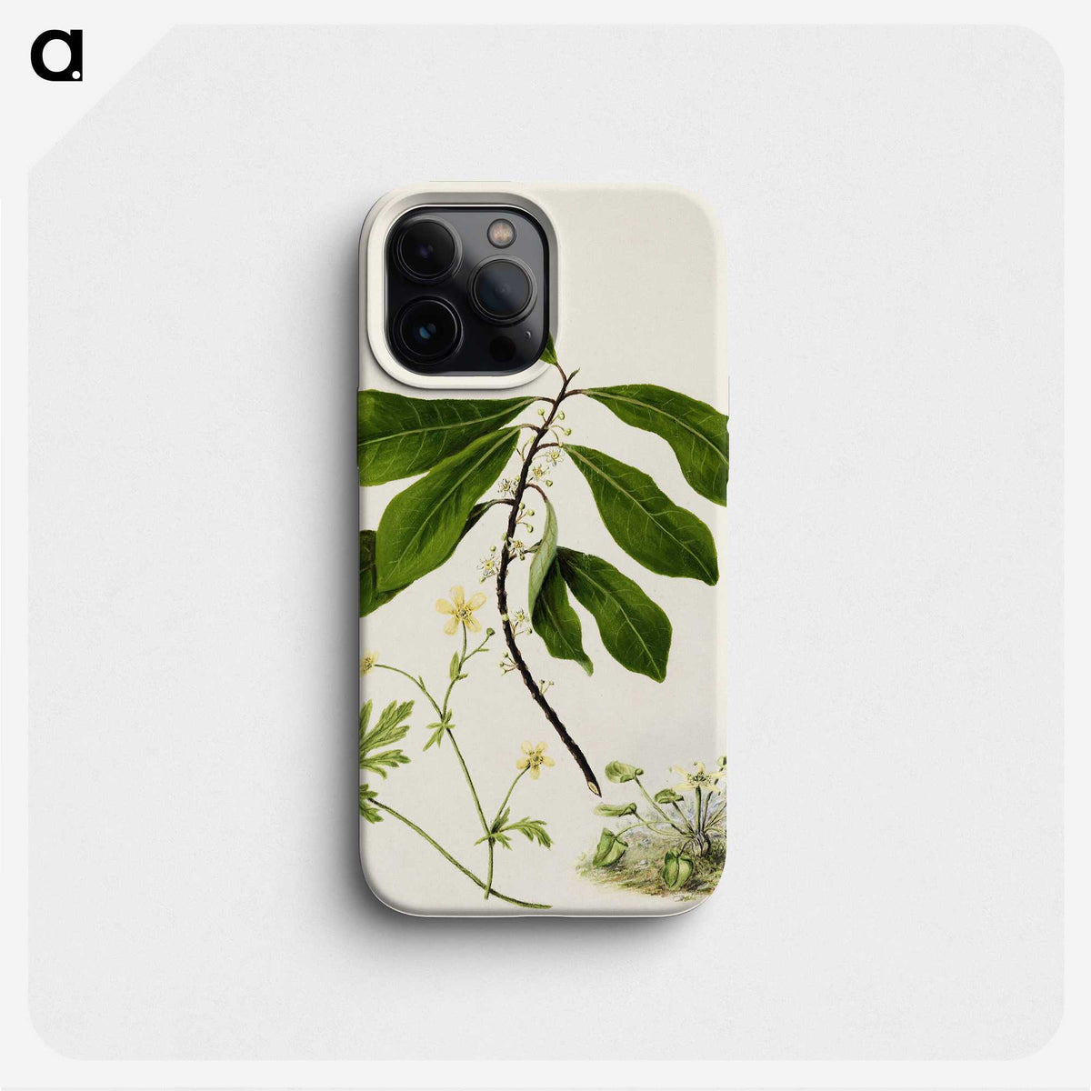 1-94_Native-Flowering-Plants-of-New-Zealand_phone