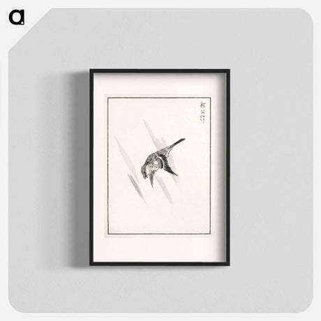 アートポスター-Japanese Cuckoo
 - 鳥類図鑑 Poster.