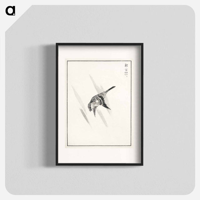 アートポスター-Japanese Cuckoo
 - 鳥類図鑑 Poster.