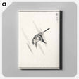 アートパネル-Japanese Cuckoo
 - 鳥類図鑑 Canvas.