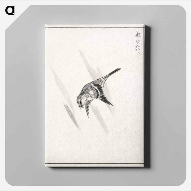 アートパネル-Japanese Cuckoo
 - 鳥類図鑑 Canvas.