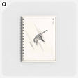 アートメモ帳-Japanese Cuckoo
 - 鳥類図鑑 Memo.