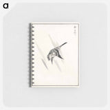 アートメモ帳-Japanese Cuckoo
 - 鳥類図鑑 Memo.