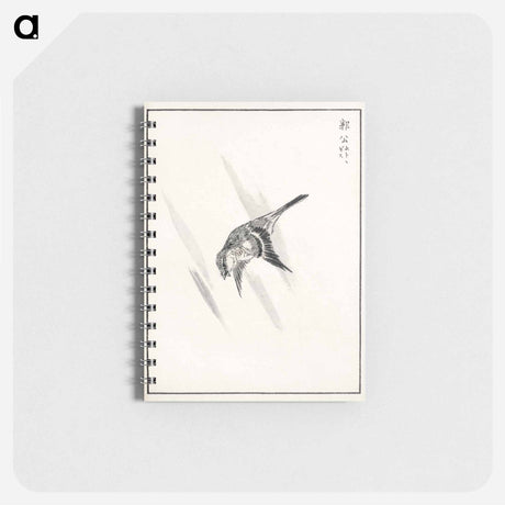 アートメモ帳-Japanese Cuckoo
 - 鳥類図鑑 Memo.