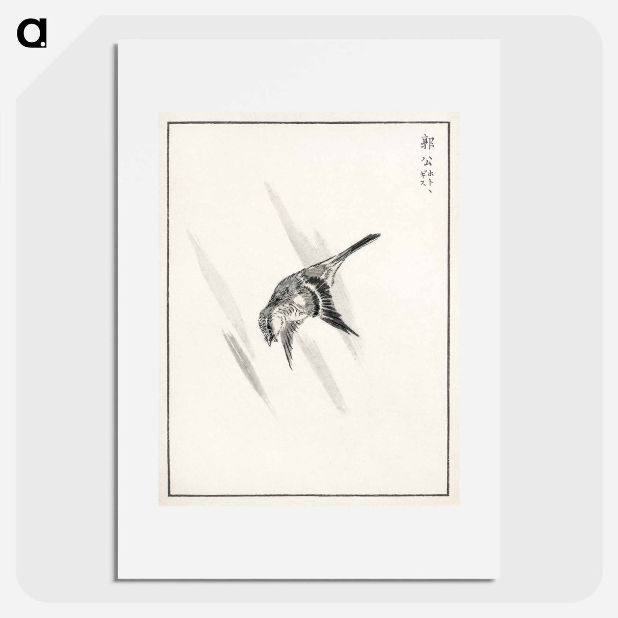 アートポスター-Japanese Cuckoo
 - 鳥類図鑑 Poster.