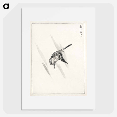 アートポスター-Japanese Cuckoo
 - 鳥類図鑑 Poster.