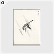アートポストカード-Japanese Cuckoo
 - 鳥類図鑑 Postcard.