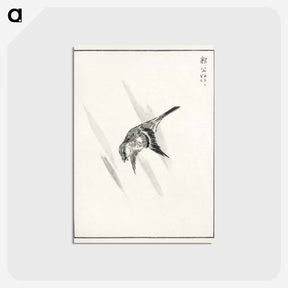 アートポストカード-Japanese Cuckoo
 - 鳥類図鑑 Postcard.