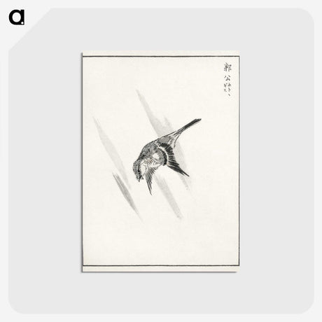 1-94_Pictorial-Monograph-of-Birds_postcard