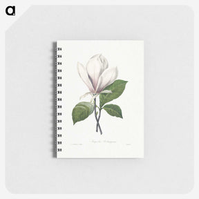 1-94_Pierre-Joseph-Redoute_memo