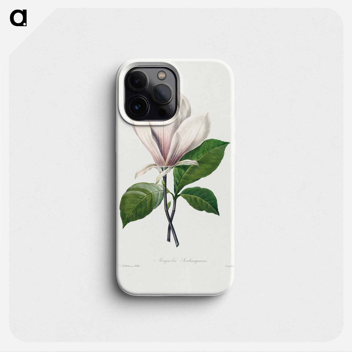 Magnolia Soulangiana - Pierre Joseph Redouté Phone Case.