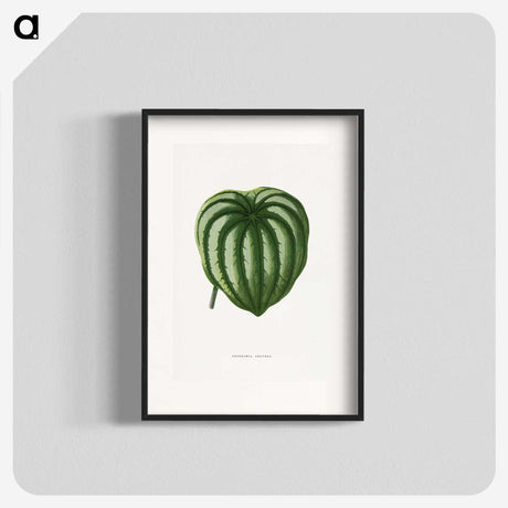 1-94_Plants-with-Colored-Foliage_blk