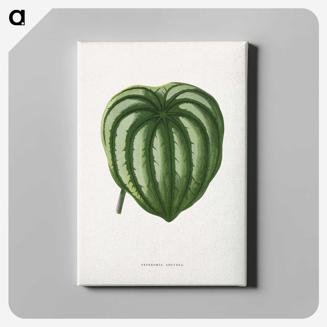 1-94_Plants-with-Colored-Foliage_canvas