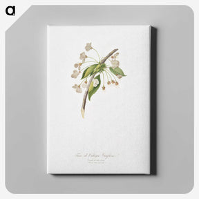 1-94_Pomona-Italiana_canvas