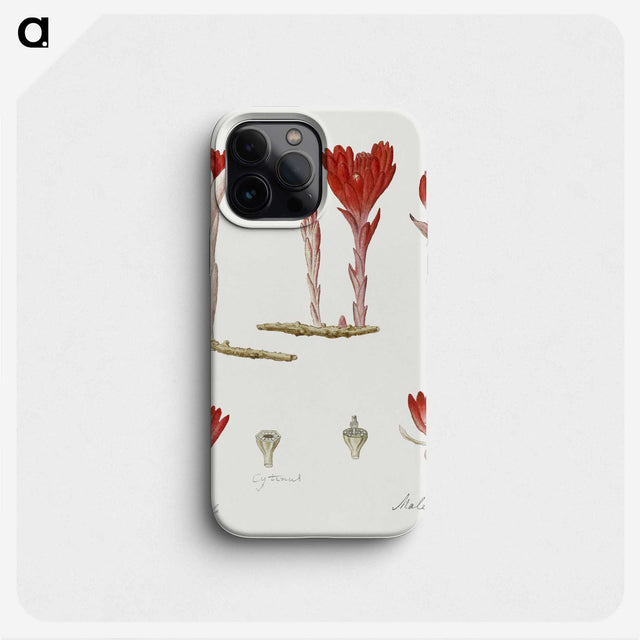1-94_Robert-Jacob-Gordon_phone