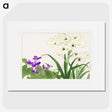 1-94_Seiyo-Soka-Zufu_picture