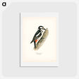 アートポストカード-Great Spotted Woodpecker
 - スヴェンスカ フォグラル Postcard.