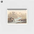 アートメモ帳-Little Sandpiper from Birds of America
 - アメリカの鳥たち Memo.