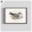 アートポスター-Great Grey Petrel
 - オーストラリアの鳥 Poster.