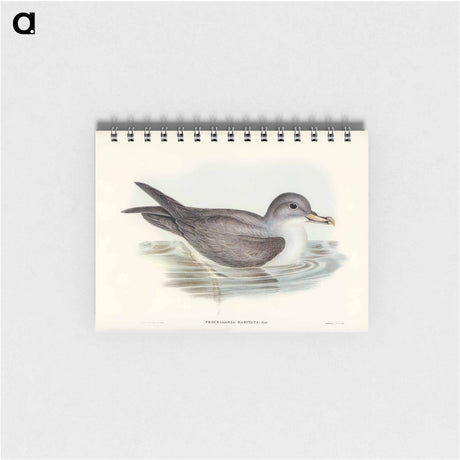 アートメモ帳-Great Grey Petrel
 - オーストラリアの鳥 Memo.