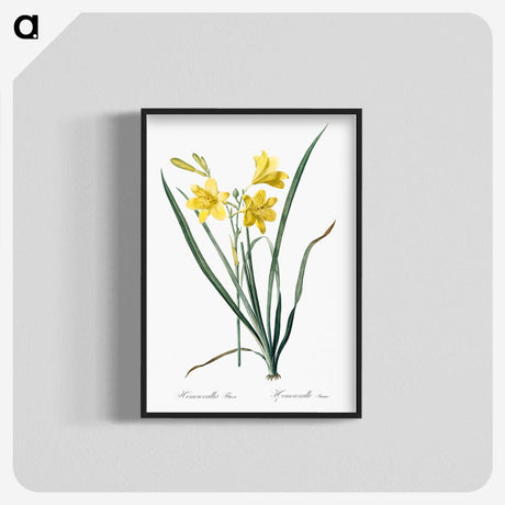 1-94_The-Lilies_blk-crop